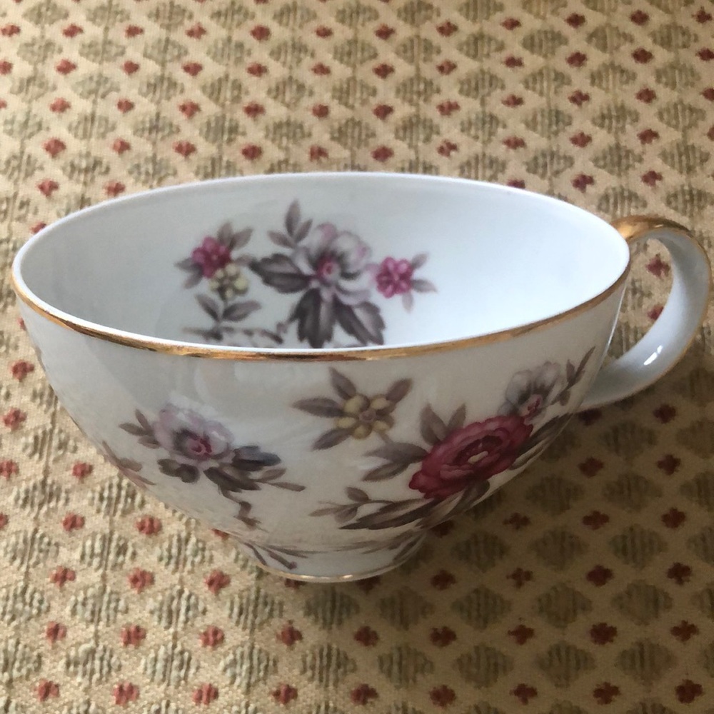 Rosanne by Norleans - Cup